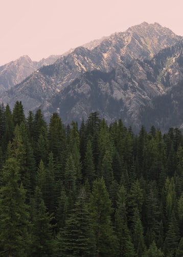 1655896049_nuristan.jpg